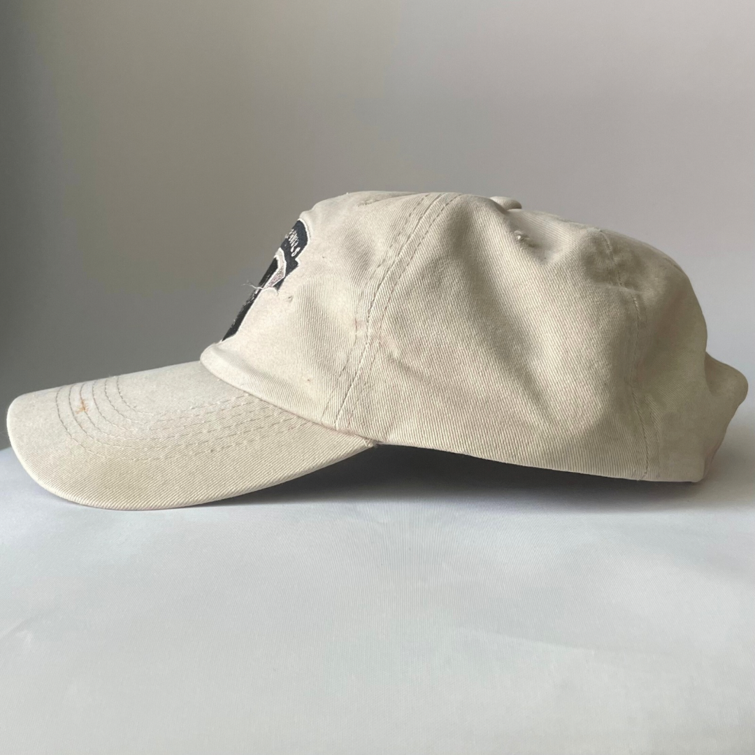 Chicago bulls cap