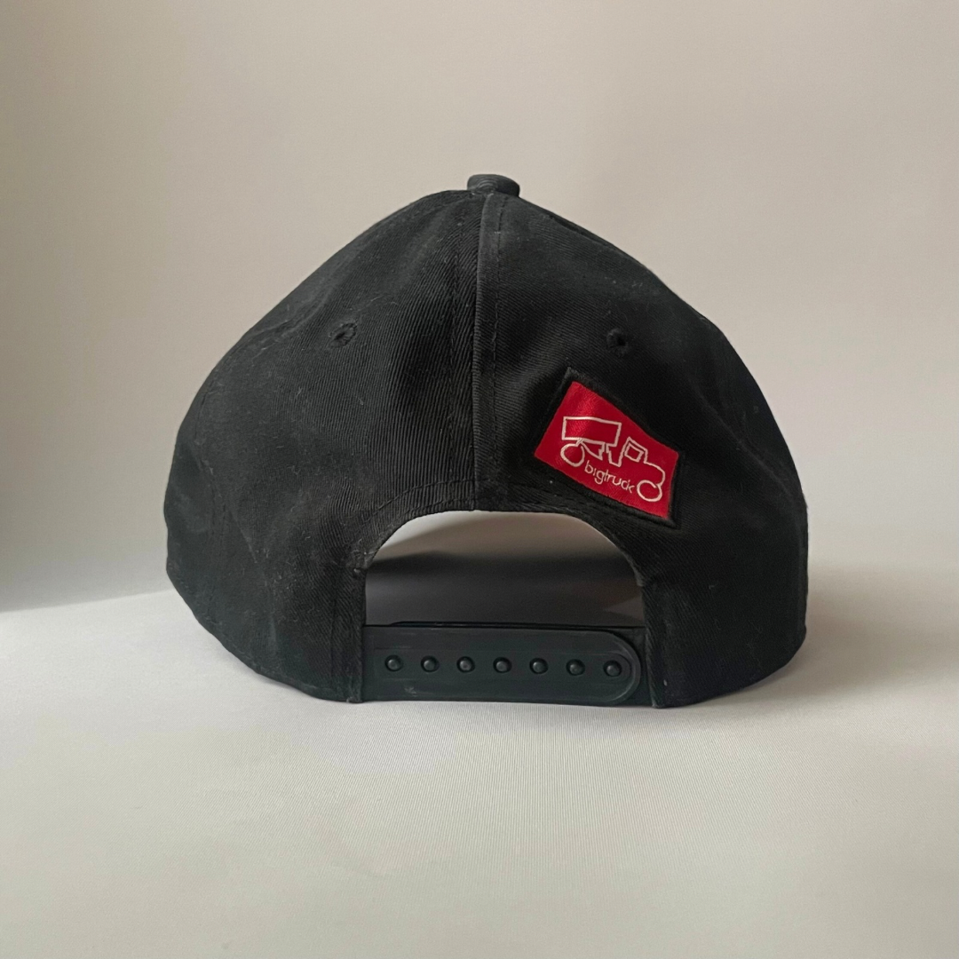 Toyota big truck cap