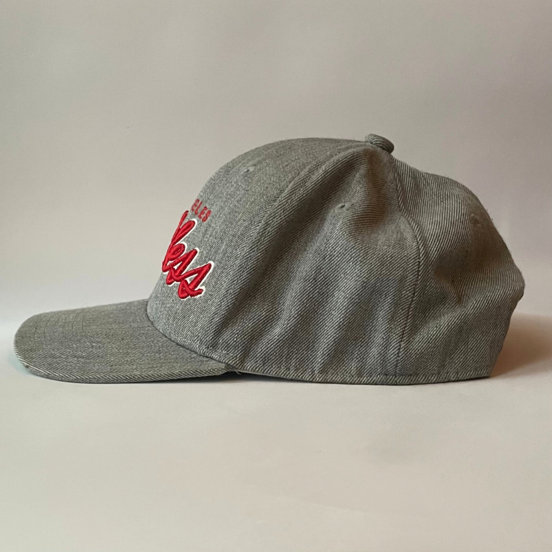 Young & Reckless logo cap