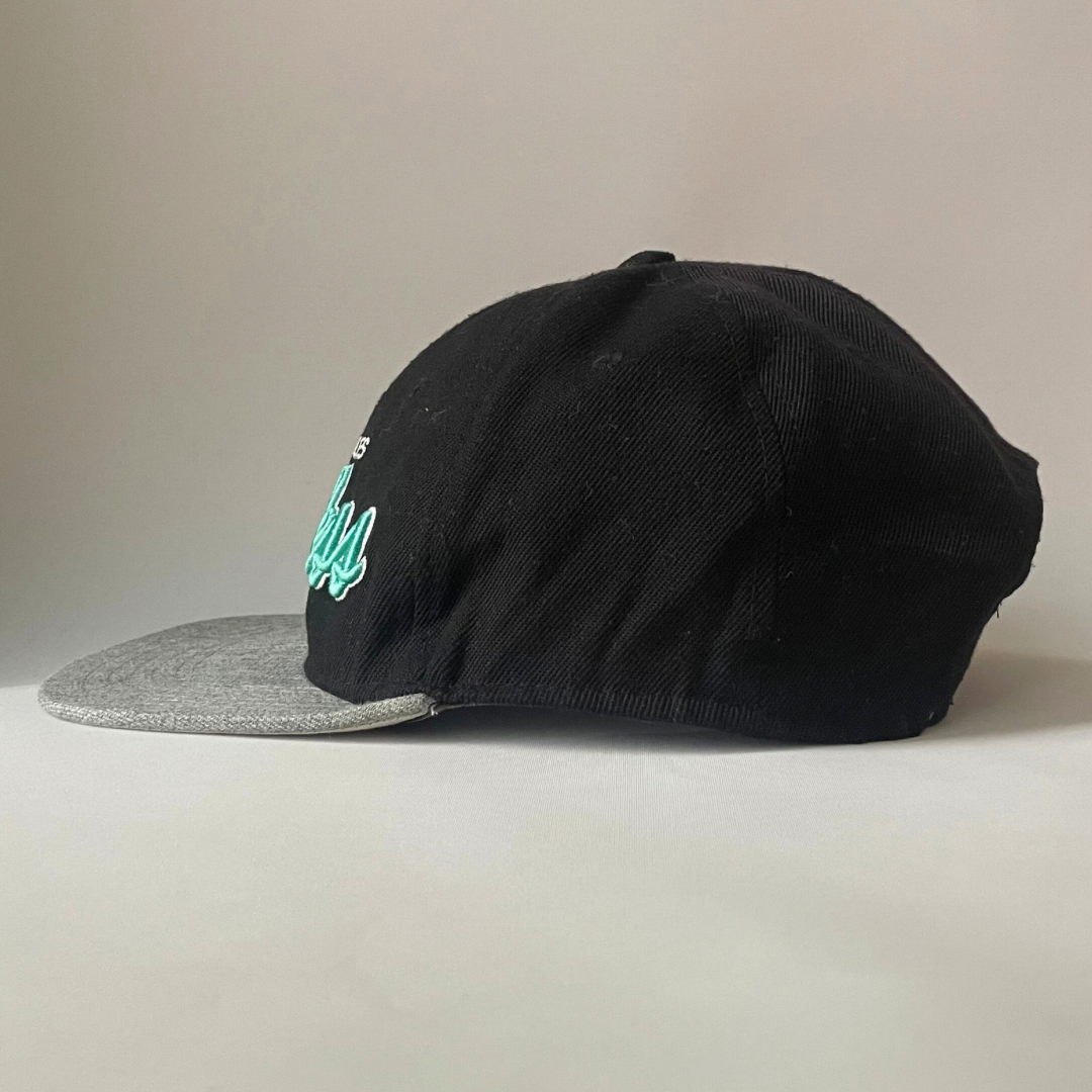 Young & reckless LA cap