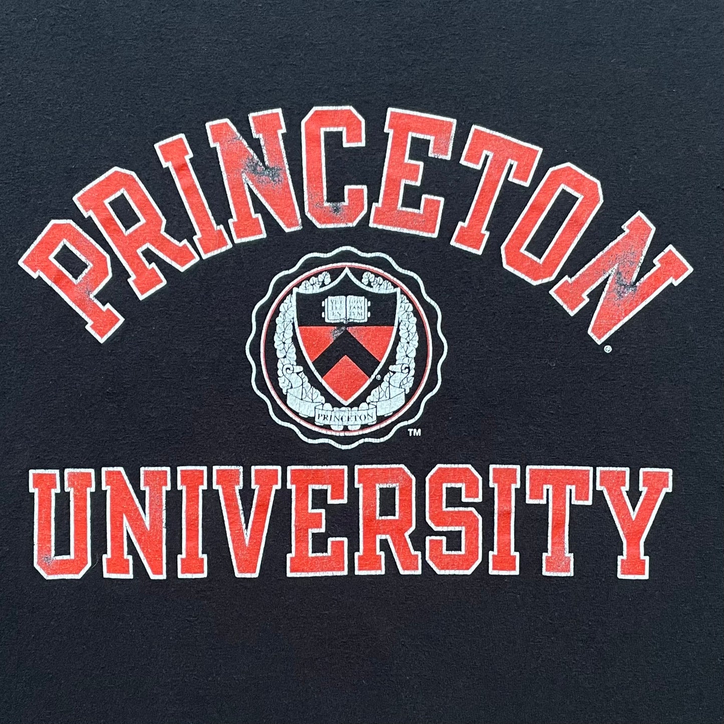 Champion Princeton University T-shirt