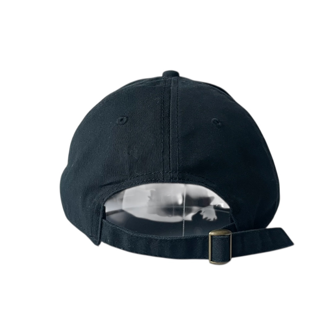 United States veteran cap