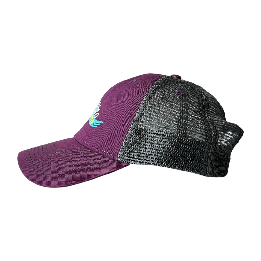 Colorado River Center cap