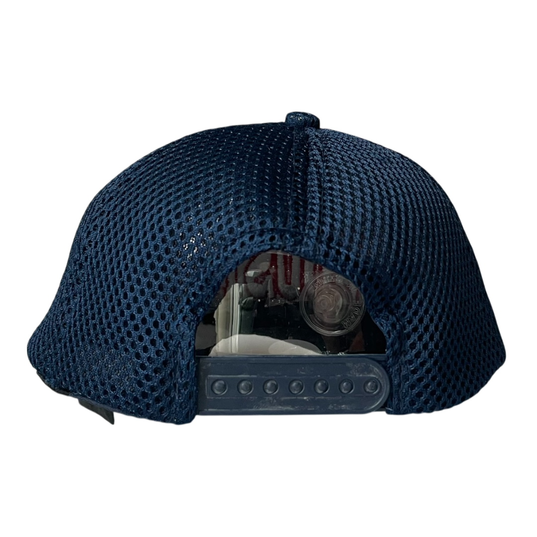 Houston Lonestar 6 panel cap