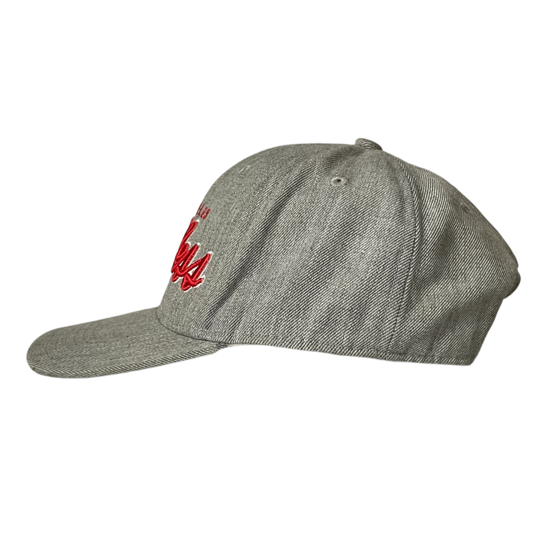 Young & Reckless logo cap