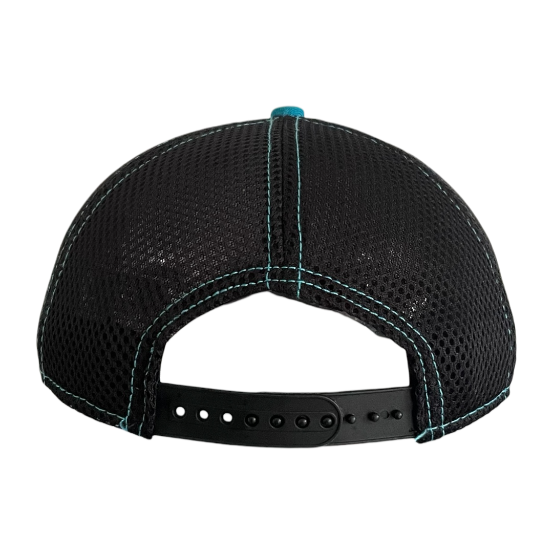 New Era Carolina Panthers cap