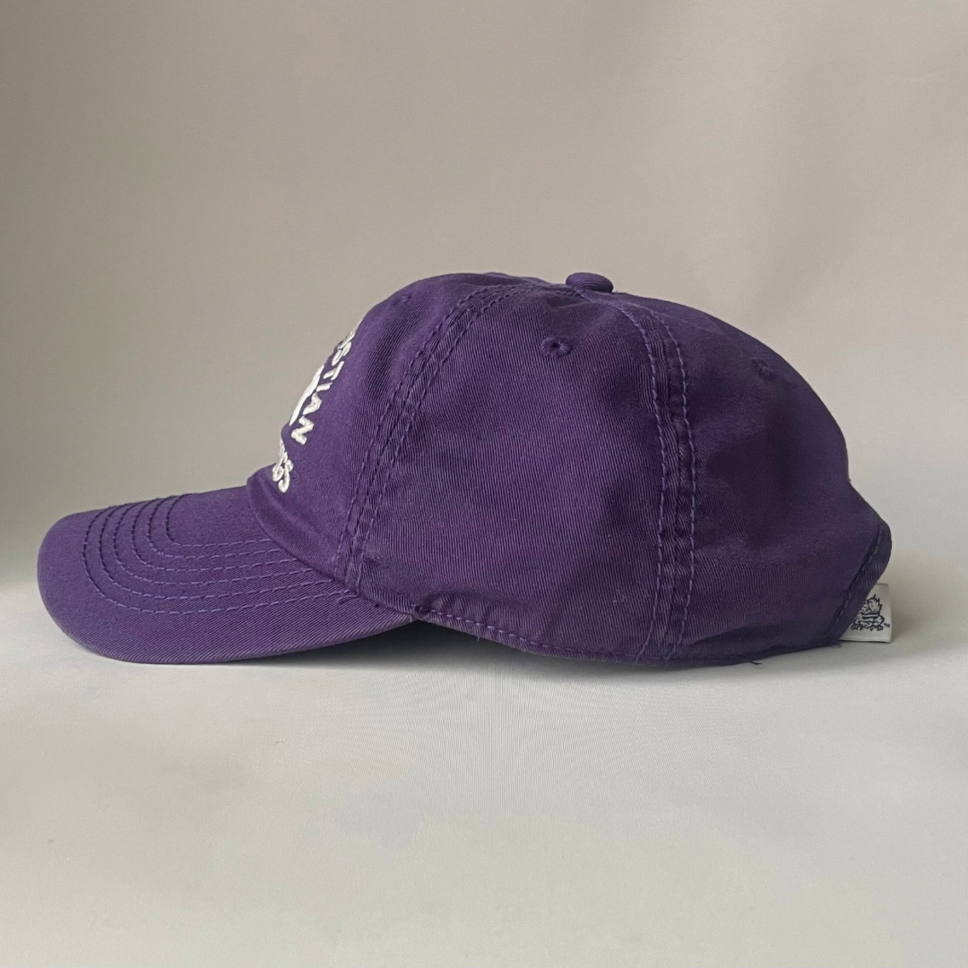 Texas Christian  Horned Frogs cap