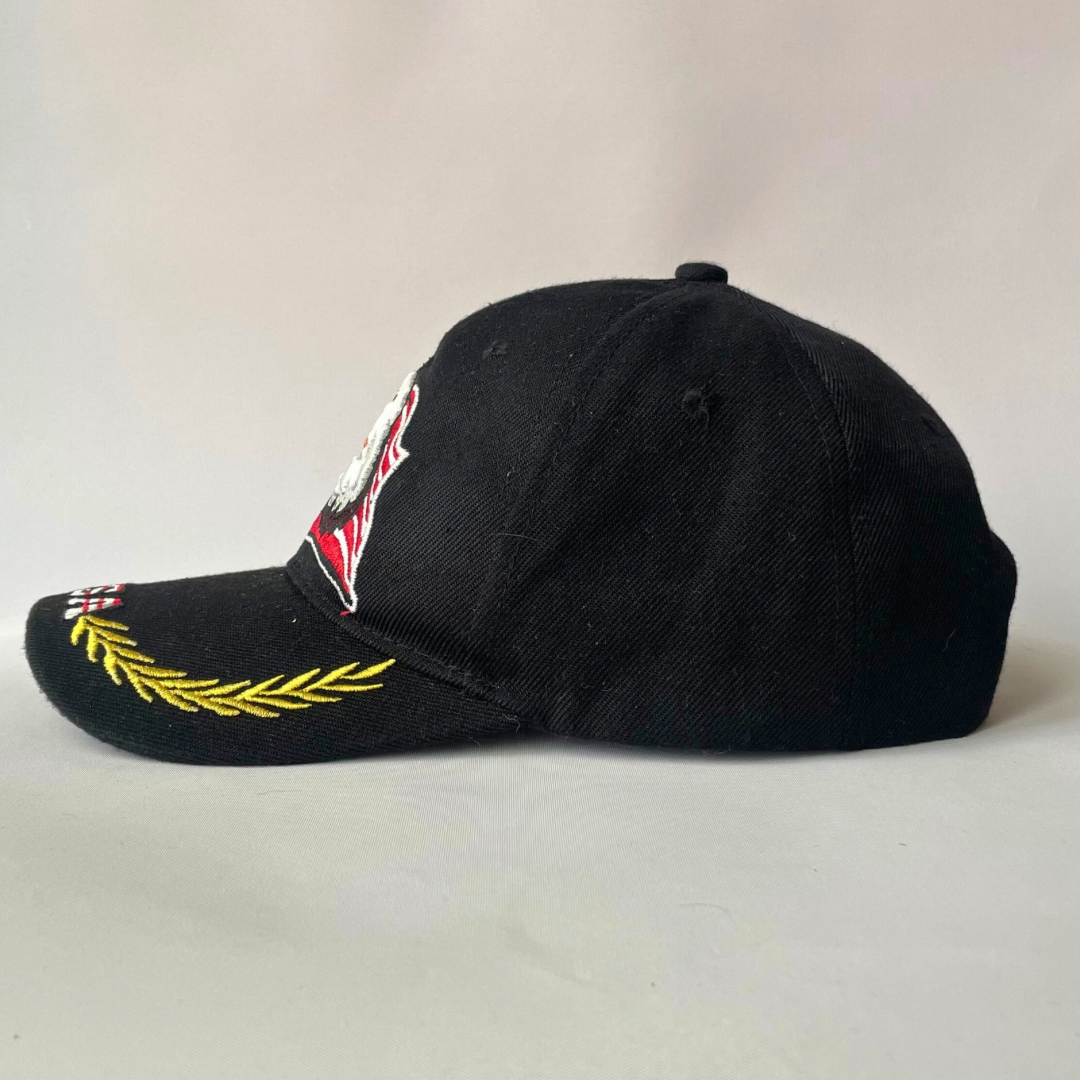 USA eagle cap