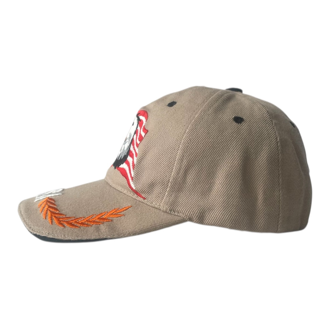 usa eagle brown cap