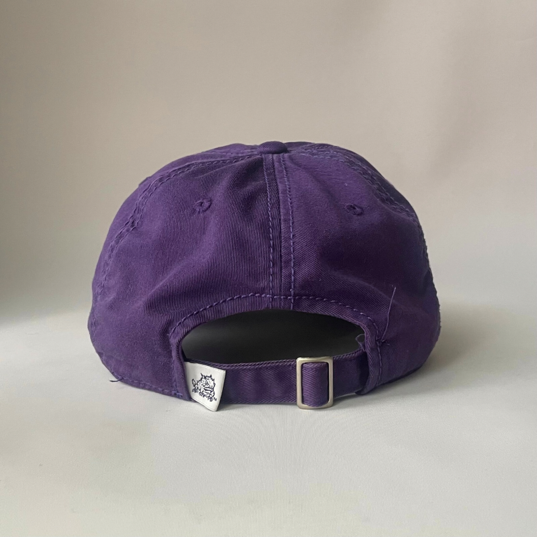 Texas Christian  Horned Frogs cap