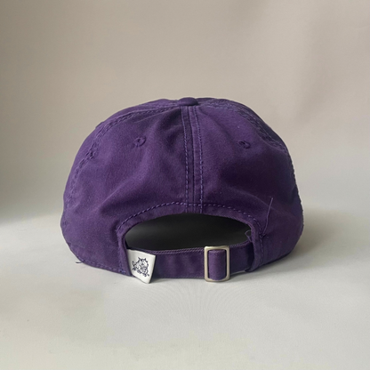 Texas Christian  Horned Frogs cap
