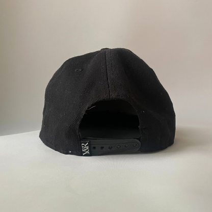 Young & reckless LA cap