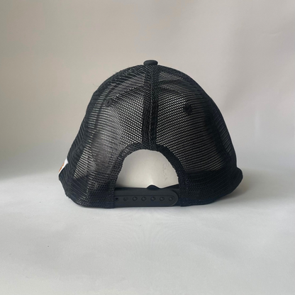 Carhartt Tririnse cap