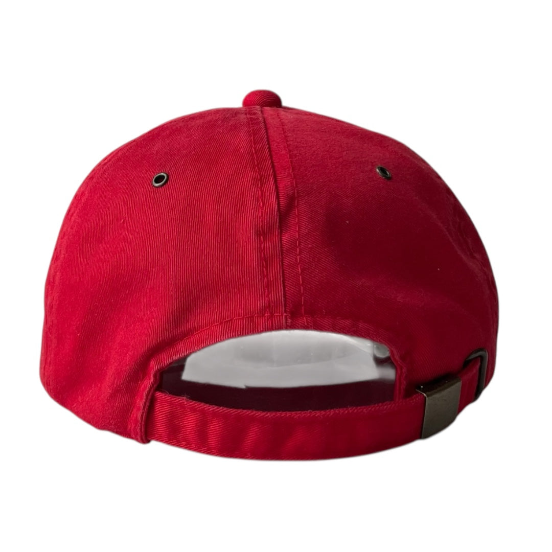 Indy racing league cap