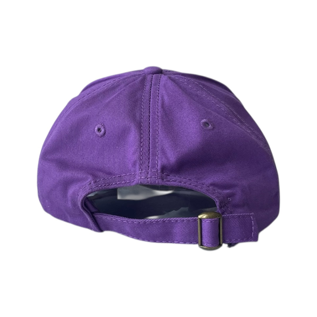 Robert H Lurie center cap