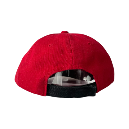Team penske cap