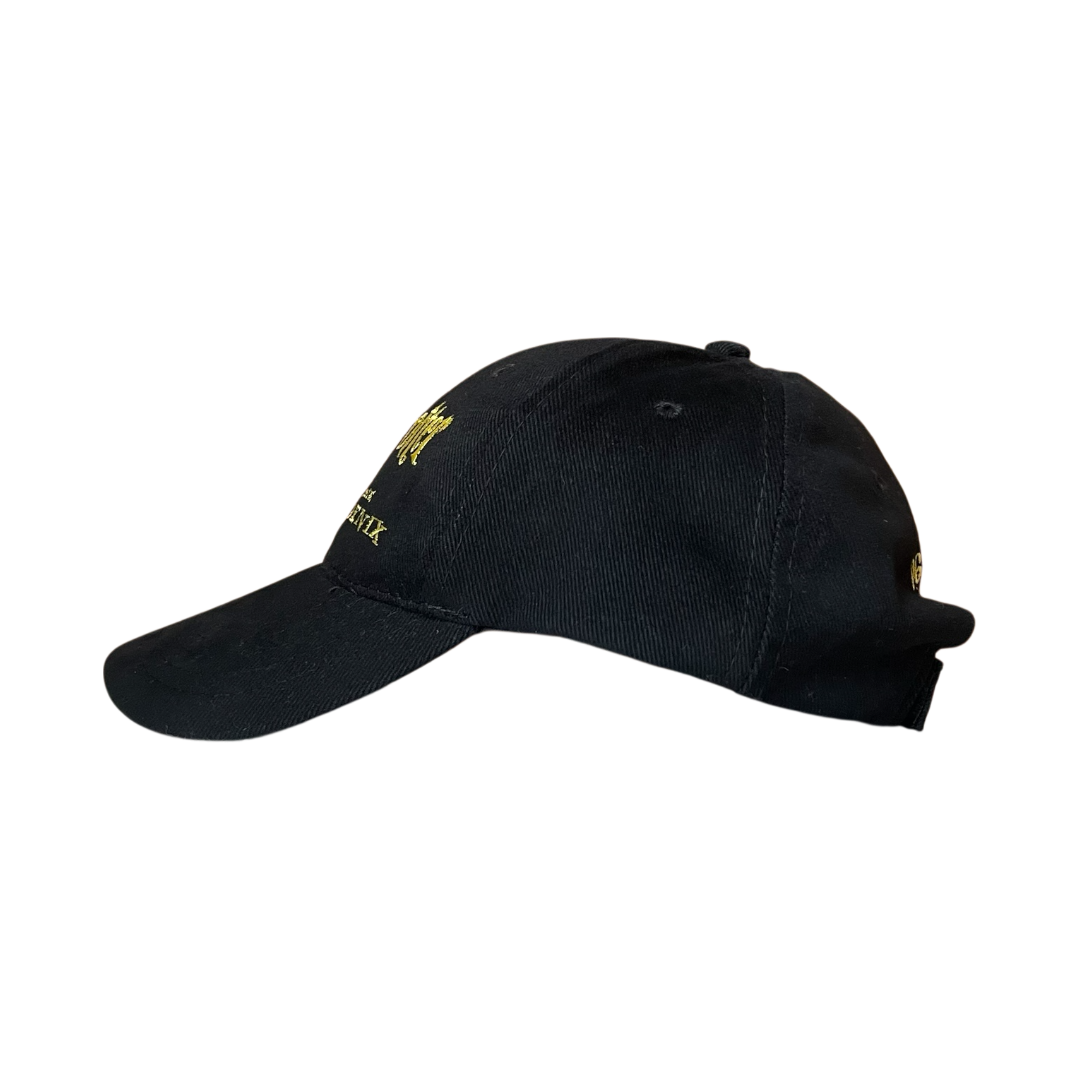 Harry potter order of the phoenix cap
