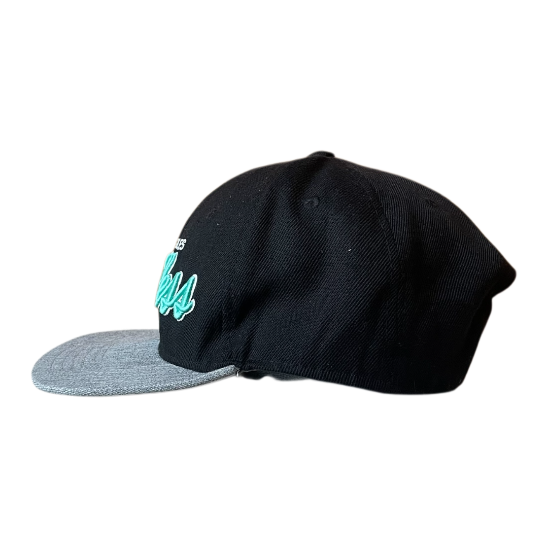 Young & reckless LA cap