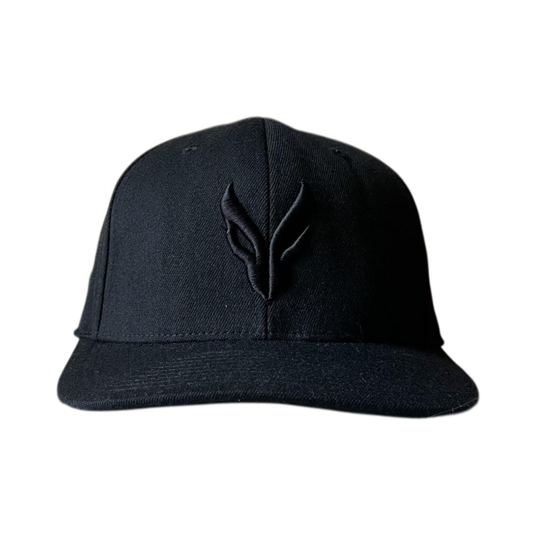 Airforce logo cap