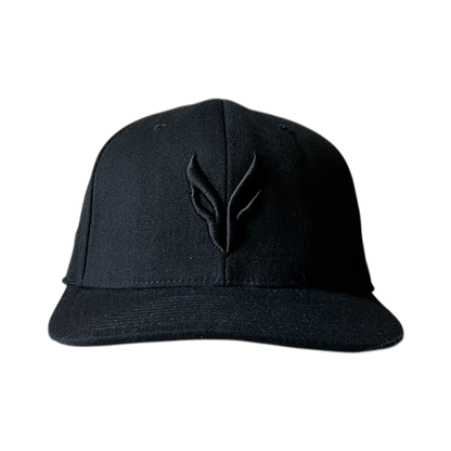 Airforce logo cap