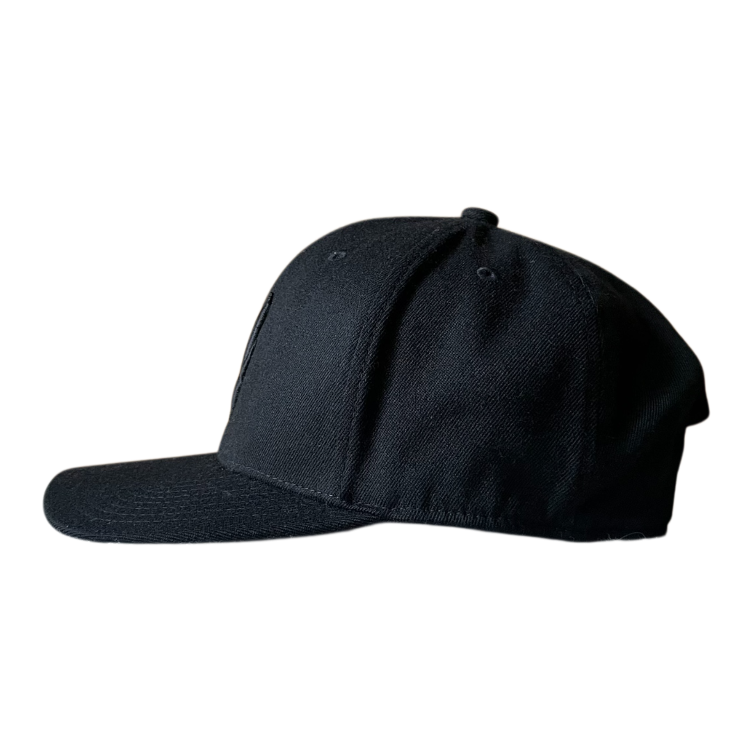 Airforce logo cap