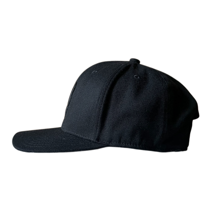 Airforce logo cap