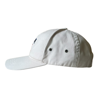 USA flag logo cap