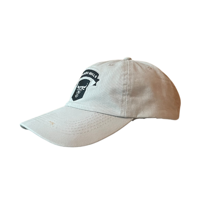 Vintage Chicago bulls cap brown