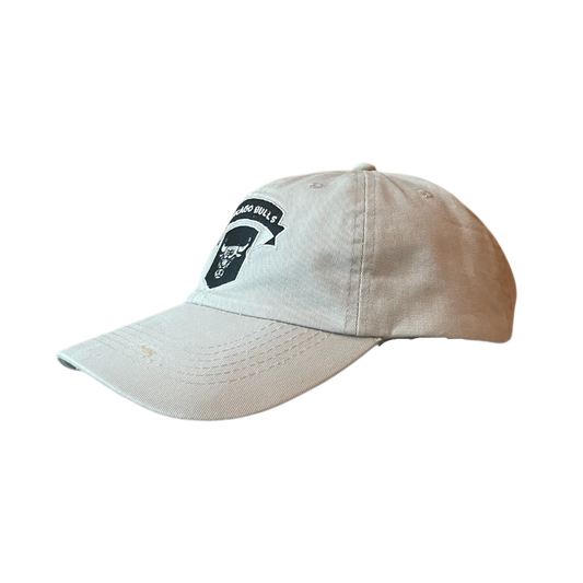 Vintage Chicago bulls cap brown