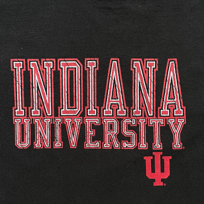 Champion indiana university Longsleeve