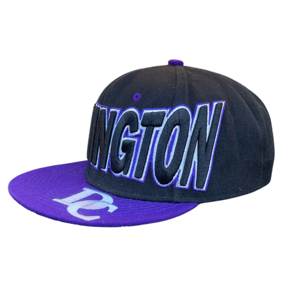 Vintage Washington DC logo cap purple