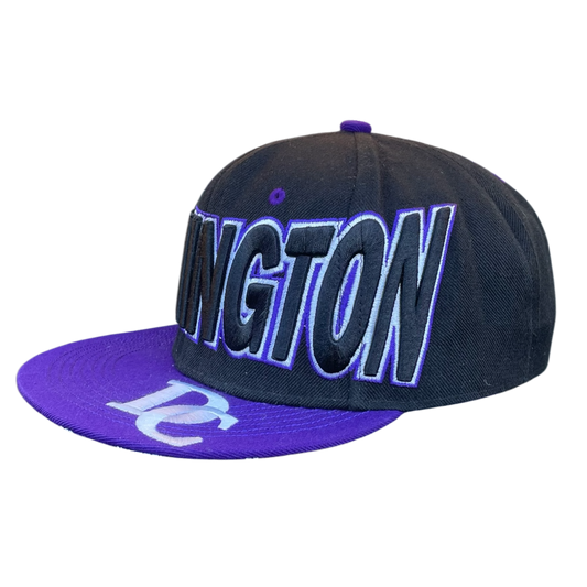 Vintage Washington DC logo cap purple
