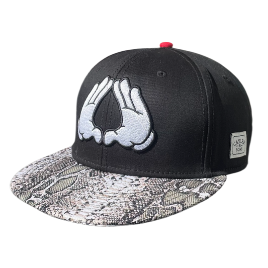 Cayler & Sons brooklyn hands cap