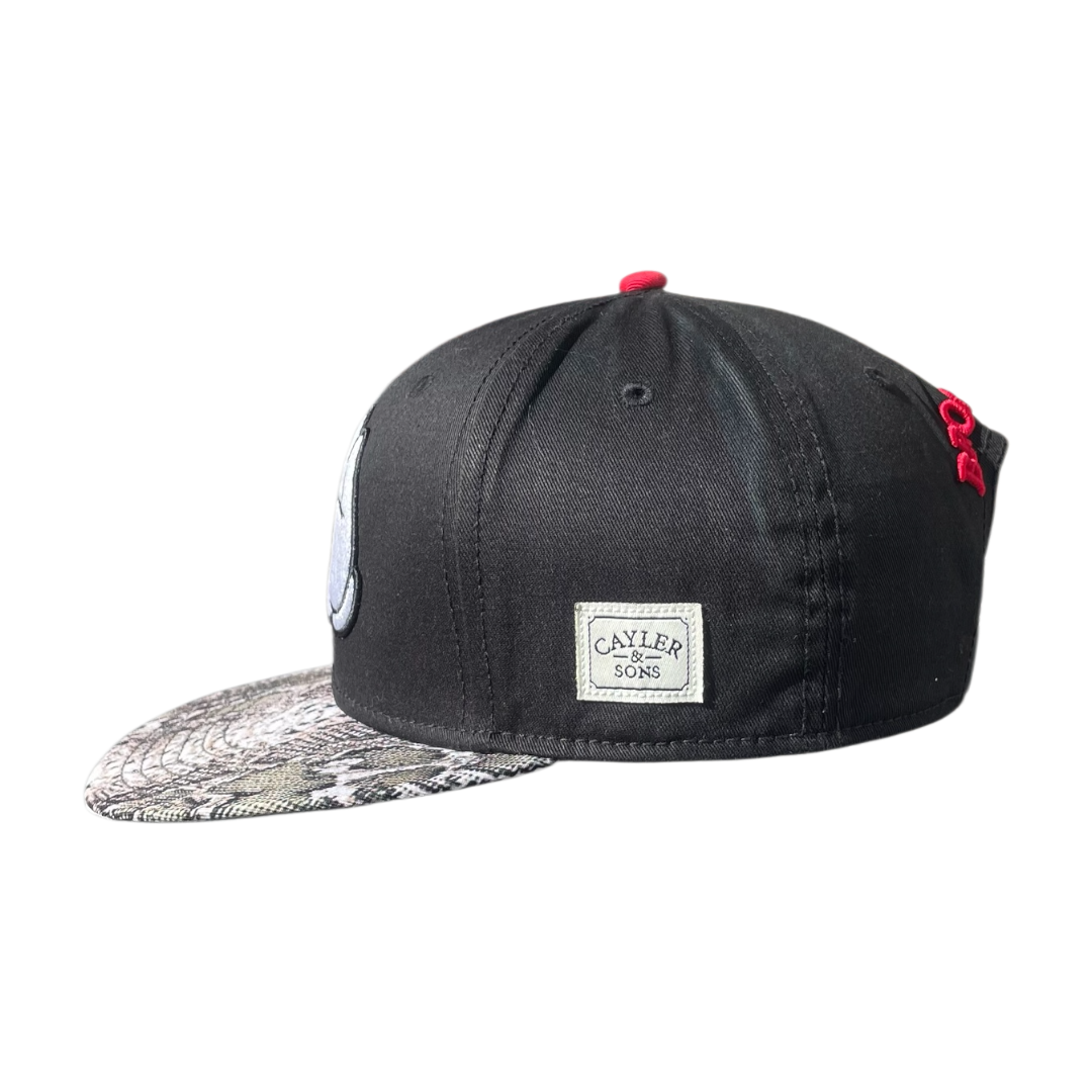 Cayler & Sons brooklyn hands cap