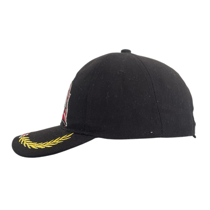 USA eagle cap