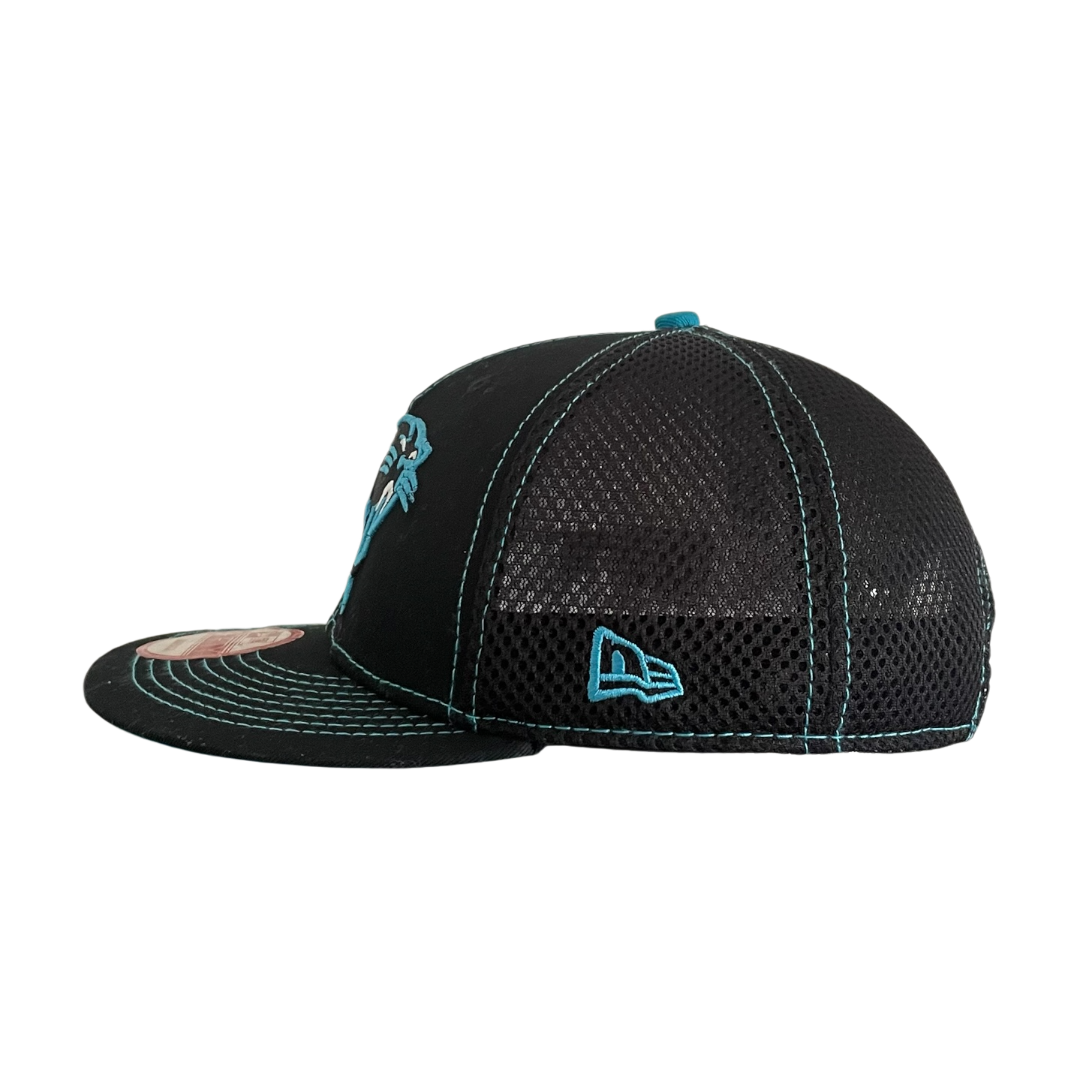 New Era Carolina Panthers cap