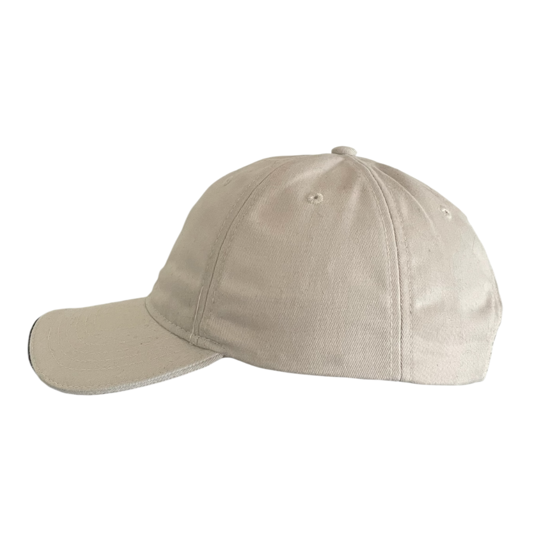 BMW logo cap