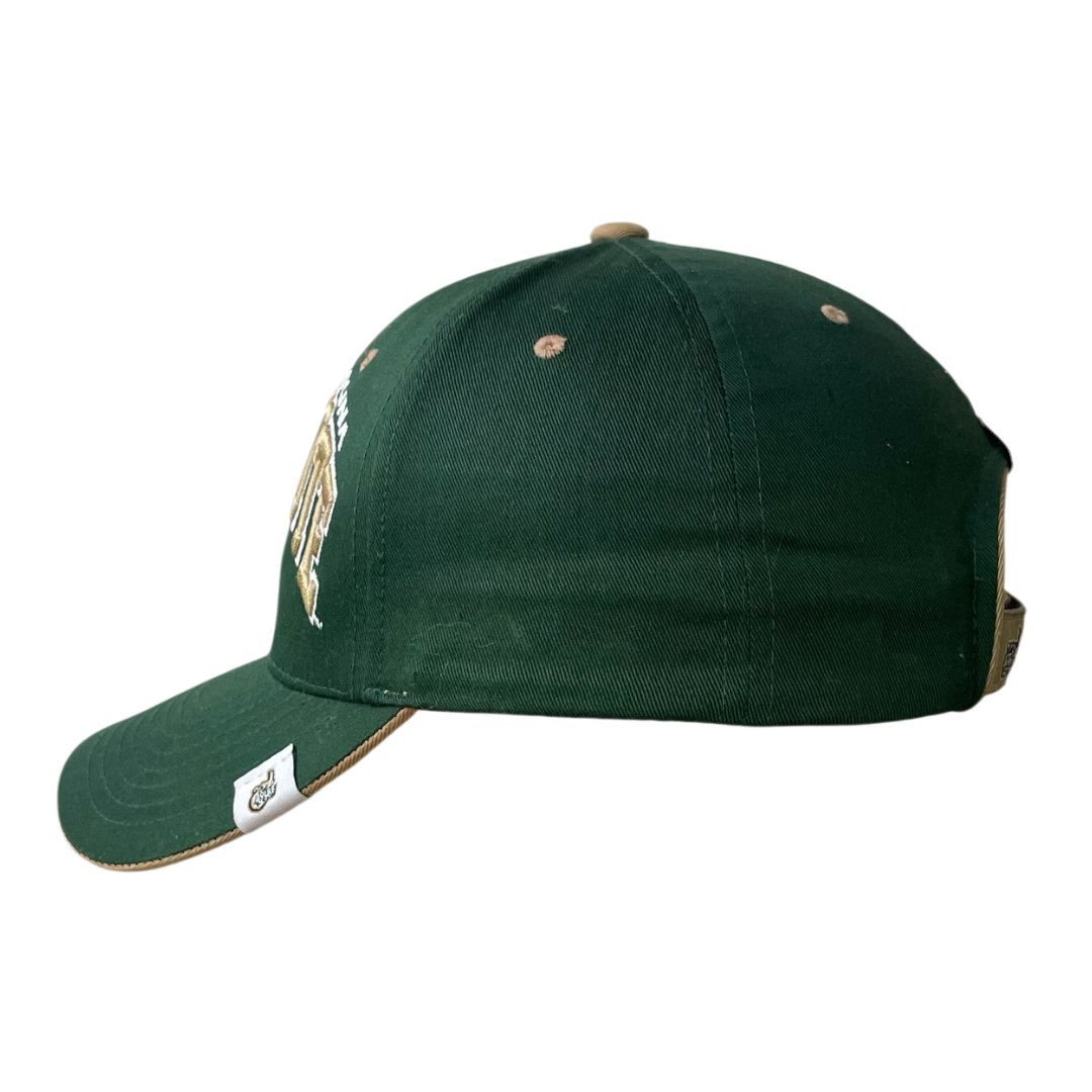 North Carolina Charlotte 49-ers cap