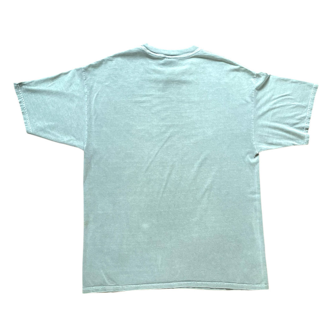 Buffalo Wyoming T-shjrt