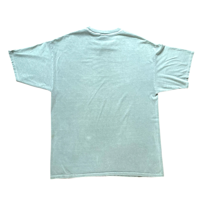 Buffalo Wyoming T-shjrt